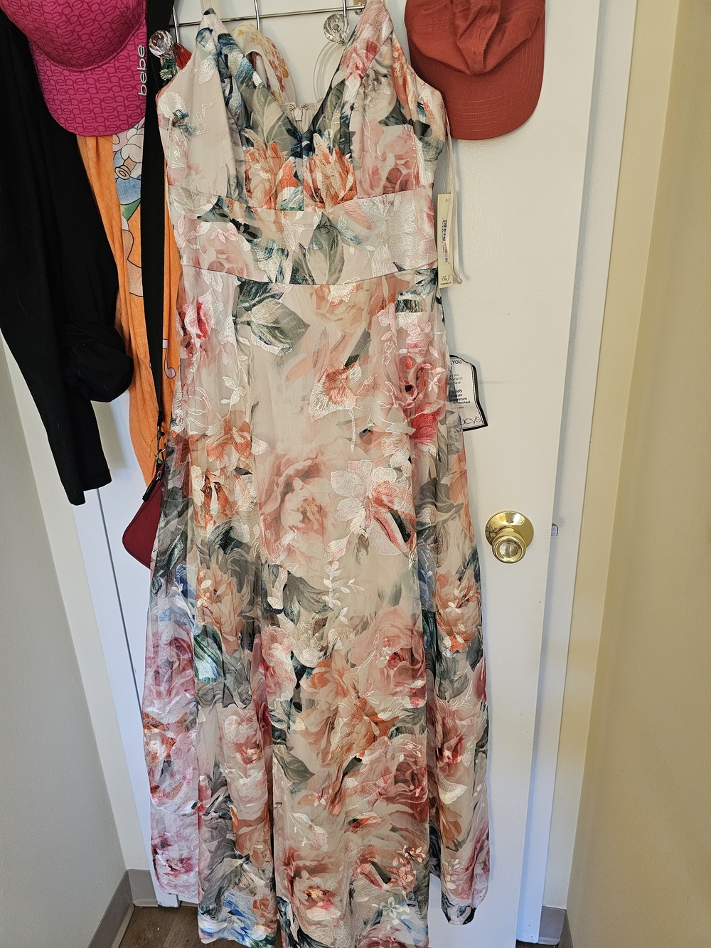Eliza J Blush Floral V-Neck Maxi Dress
